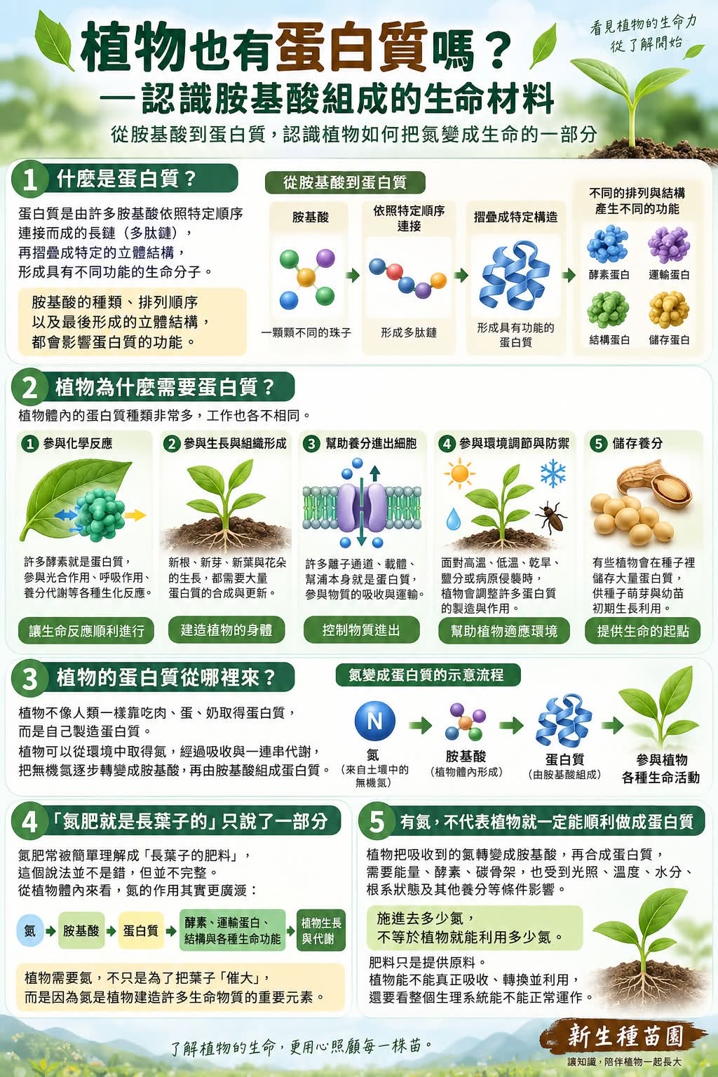 植物也有蛋白質嗎？——認識胺基酸組成的生命材料